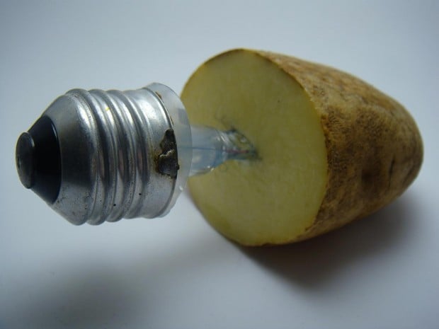 broken bulb potato