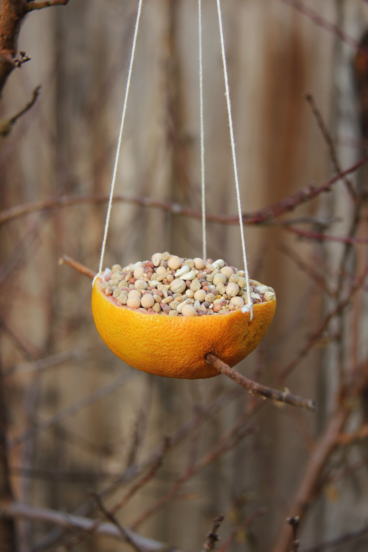 16 Creative DIY Bird Feeders The Feathered Friends In Your