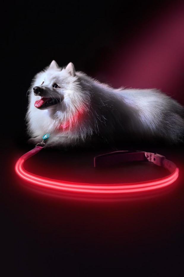 008-GAZi-Photography-Squeaker-Poochlight-Pink-LED-Light-Up-Leash