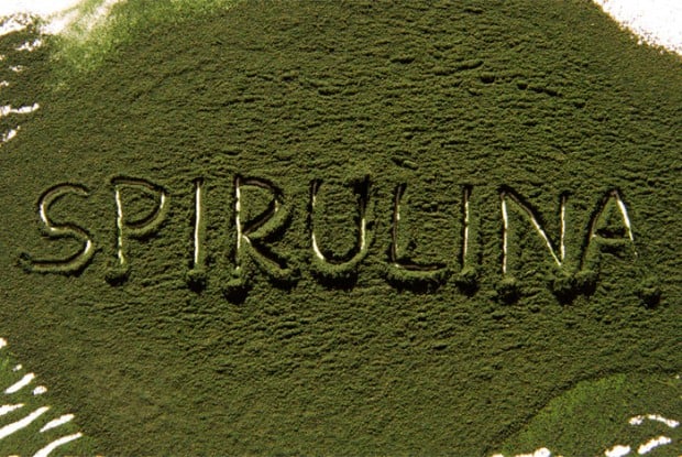 spirulina-powder-word