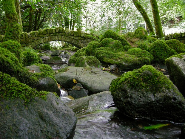 Kilfane Glen, Kilkenny