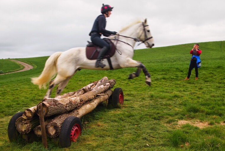 The Right Numnah for your Horse The Right Numnah for your Horse - numnah, horse