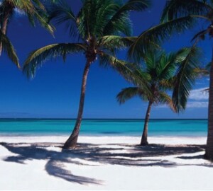 Tips for Your Holidays in Punta Cana (The Best Punta Cana Resorts, 5 Star Hotels) - travel, Punta Cana Resorts, Punta Cana, holiday, Dominican Republic