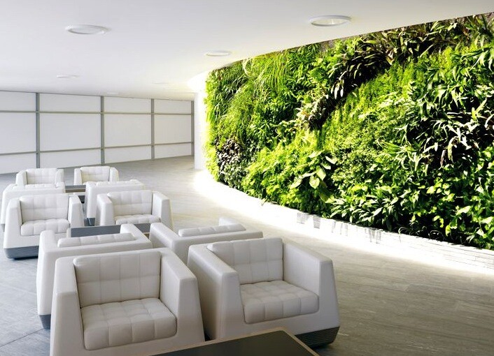 5 Stunning Ways to Bring the Outdoors Inside Your Home 5 Stunning Ways to Bring the Outdoors Inside Your Home - homeplants, home decor, Decoration Ideas