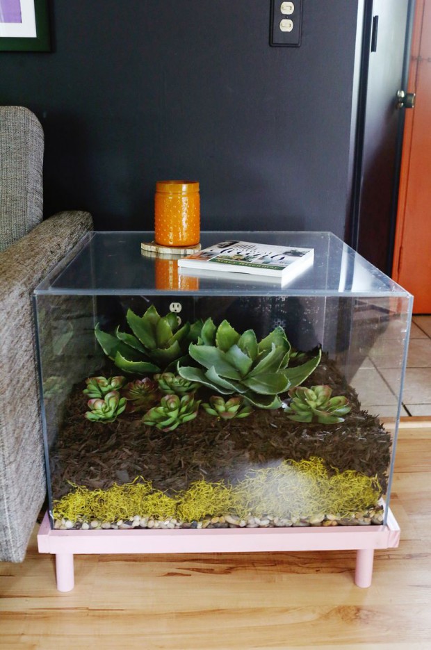 terrarium (2)