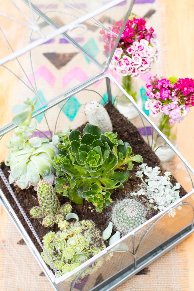 terrarium (4)