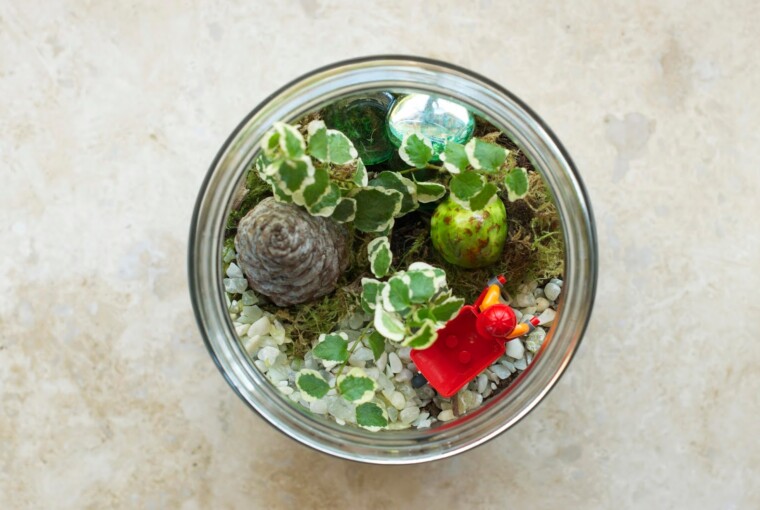 How to Make Terrarium: 18 Great DIY Ideas How to Make Terrarium: 18 Great DIY Ideas - terrarium ideas, terrarium, how to make terrarium, how to make, diy terrarium