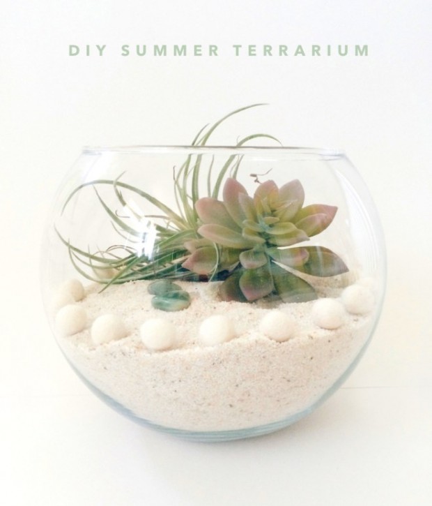 terrarium (9)