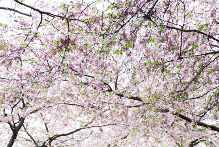 Spring Office Outfits: 17 Lovely Fashion Combinations to Inspire You (Part 1) Spring Office Outfits: 17 Lovely Fashion Combinations to Inspire You (Part 1) - Work outfit, what to wear, spring outfit ideas, spring office outfit, office outfits, 9 to 5