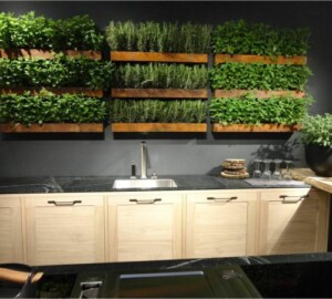Creative Ideas to Make a Greener Home -
