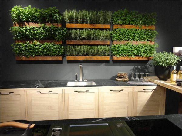 Creative Ideas to Make a Greener Home -