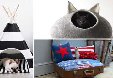 17 Cute Pet Bed Designs That Will Spoil Our Furry Friends - shelf, rabbit, puppy, pets, Pet, mouse, kitty, kitten, house, hamster, guinea pig, furniture, dog, cave, cat, bed