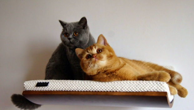 Buy it on: www.etsy.com 17 Cute Pet Bed Designs That Will Spoil Our Furry Friends (1)