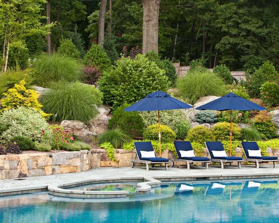 18 Amazing Poolside Landscape Ideas - Poolside, pool design, pool area, landscape poolside, landscape outdoors, Backyard Landscaping Ideas