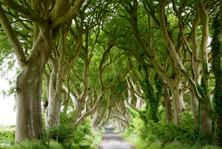 9 Unbelievable Places You Haven't Heard Of Yet You Should Visit 9 Unbelievable Places You Haven't Heard Of Yet You Should Visit - waterfall, Tianzi, Russia, plitvice, Peru, park, nature, Natural, national, mountain, Malaysia, lake, King's Road, ireland, Huacachina, Havasu, Gunung Mulu, greece, Giola, Game Of Thrones, falls, croatia, Baikal