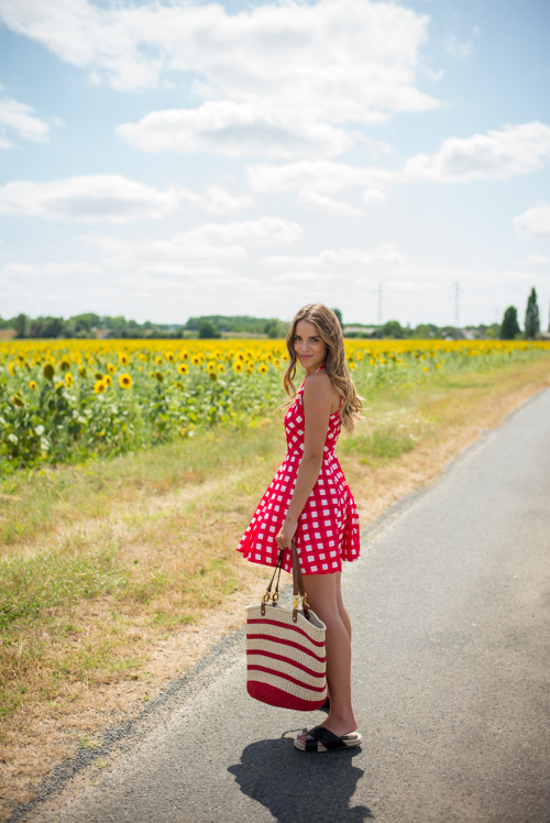 gal-meets-glam-red-gingham17