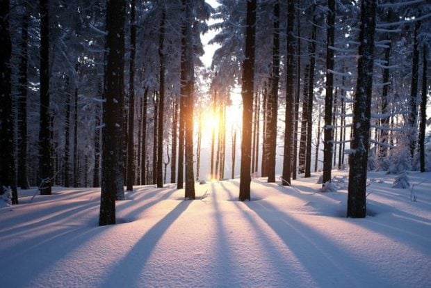winter-solstice-facts-jpg-653x0_q80_crop-smart