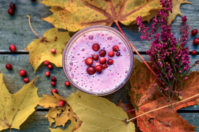 16 Healthy Smoothie Recipes Perfect For Fall - smoothie recipes, smoothie breakfast, protein smoothies, Healthy Smoothie Recipes, Healthy Smoothie, fall Smoothie Recipes, fall Smoothie, energy smoothie