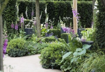 Flower Shows Throughout the UK in 2017 - pot, garden, flower show, Flower, chelsea flower
