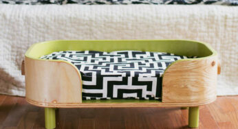 16 Adorable DIY Pet Bed Ideas