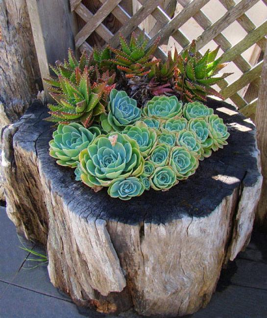 16 DIY Ideas for How to Recycle Tree Stumps for Garden Decor - recycled products, Recycle Tree Stumps for Garden Decor, Recycle Tree Stumps, DIY Recycled Products, diy garden projects, diy garden