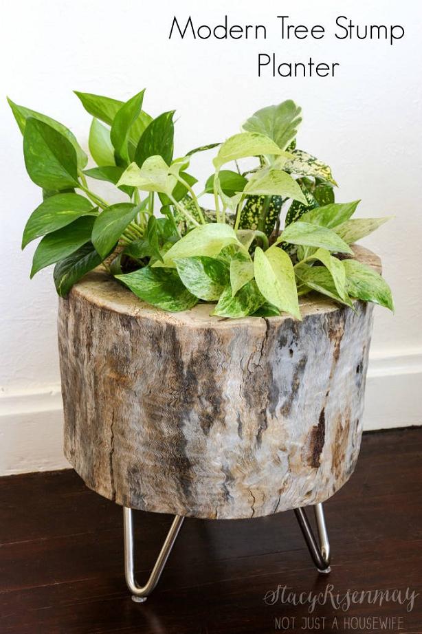 16 DIY Ideas for How to Recycle Tree Stumps for Garden Decor - recycled products, Recycle Tree Stumps for Garden Decor, Recycle Tree Stumps, DIY Recycled Products, diy garden projects, diy garden