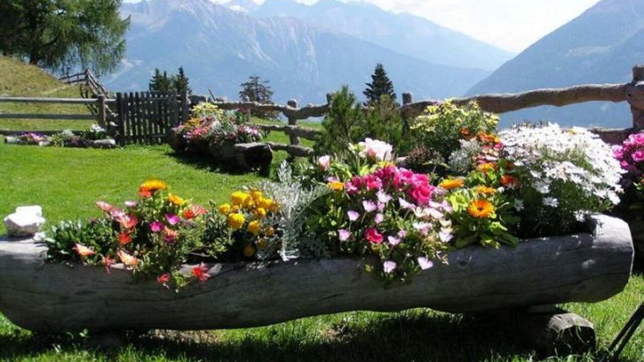 16 Diy Ideas For How To Recycle Tree Stumps For Garden Decor