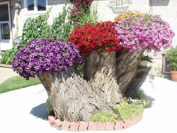 16 DIY Ideas for How to Recycle Tree Stumps for Garden Decor - recycled products, Recycle Tree Stumps for Garden Decor, Recycle Tree Stumps, DIY Recycled Products, diy garden projects, diy garden