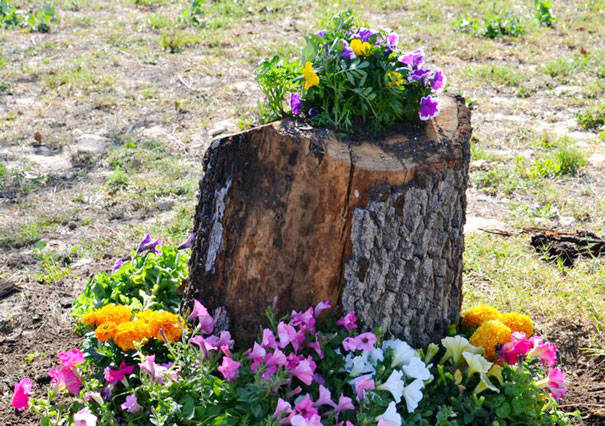 16 DIY Ideas for How to Recycle Tree Stumps for Garden Decor - recycled products, Recycle Tree Stumps for Garden Decor, Recycle Tree Stumps, DIY Recycled Products, diy garden projects, diy garden