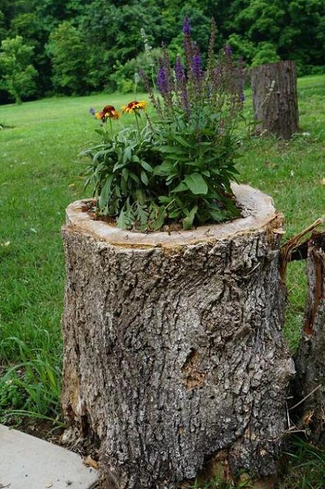 16 DIY Ideas for How to Recycle Tree Stumps for Garden Decor - recycled products, Recycle Tree Stumps for Garden Decor, Recycle Tree Stumps, DIY Recycled Products, diy garden projects, diy garden