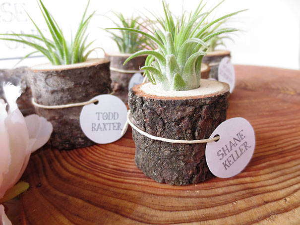 16 DIY Ideas for How to Recycle Tree Stumps for Garden Decor - recycled products, Recycle Tree Stumps for Garden Decor, Recycle Tree Stumps, DIY Recycled Products, diy garden projects, diy garden