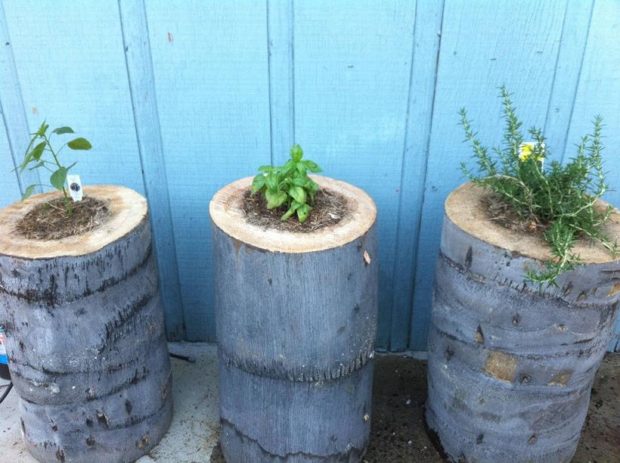 16 DIY Ideas for How to Recycle Tree Stumps for Garden Decor - recycled products, Recycle Tree Stumps for Garden Decor, Recycle Tree Stumps, DIY Recycled Products, diy garden projects, diy garden