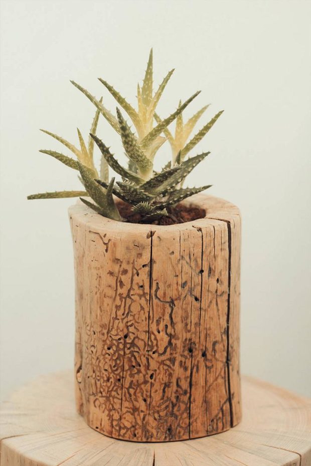 16 DIY Ideas for How to Recycle Tree Stumps for Garden Decor - recycled products, Recycle Tree Stumps for Garden Decor, Recycle Tree Stumps, DIY Recycled Products, diy garden projects, diy garden