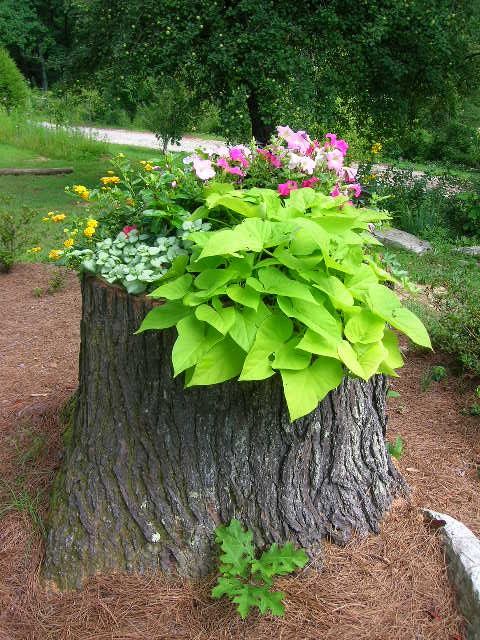 16 DIY Ideas for How to Recycle Tree Stumps for Garden Decor - recycled products, Recycle Tree Stumps for Garden Decor, Recycle Tree Stumps, DIY Recycled Products, diy garden projects, diy garden