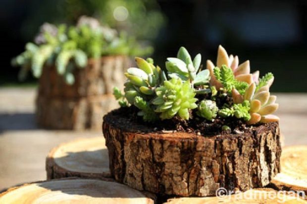 16 DIY Ideas for How to Recycle Tree Stumps for Garden Decor - recycled products, Recycle Tree Stumps for Garden Decor, Recycle Tree Stumps, DIY Recycled Products, diy garden projects, diy garden