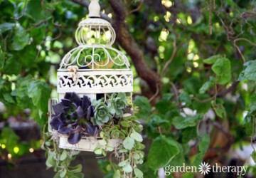 18 Beautiful Garden Decor Ideas with Birdcage Planters - Garden Decor Ideas with Birdcage Planters, garden decor, Birdcage Planters