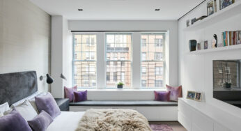 Why Should I Get A Pest Control Management Service After Renovation?