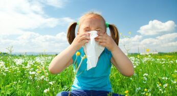 How To Rid Your Home of Common Spring Allergens