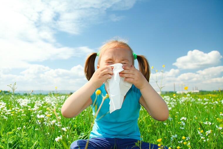 How To Rid Your Home of Common Spring Allergens -