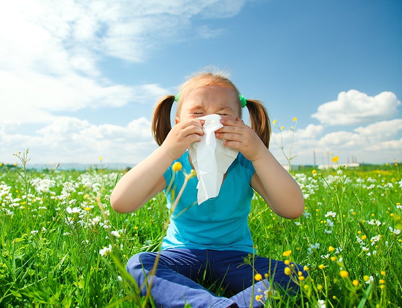 How To Rid Your Home of Common Spring Allergens -