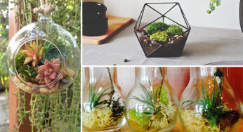 15 Awesome Terrarium Designs That Will Bring Living Decor In Your Home