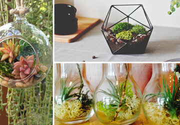 15 Awesome Terrarium Designs That Will Bring Living Decor In Your Home - terrarium, Succulent, Plants, Natural, living decor, living, home, hanging, green, glass, geometric, diy terrarium, diy, decorations, decor