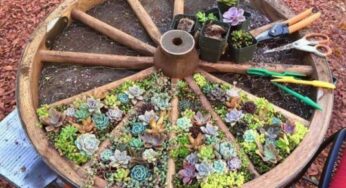 20 Lovely DIY Summer Garden Decorations