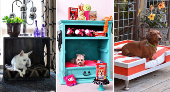 16 Lovely DIY Dog Bed Ideas Your Puppy Needs