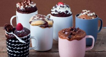 17 Quick and Easy Mug Cake Recipes and Ideas
