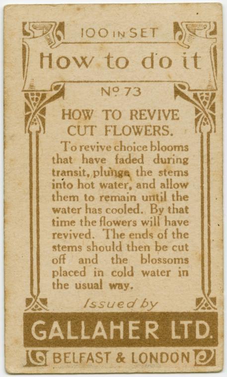 20 Genius Vintage Life Hacks From The 1900s That Are Still Applicable Today (Part 2) - vintage, tips, life hacks, life, how to do it, hints, hint, hacks, hack, Gallaher's Cigarettes, gallaher, do it yourself, diy, crafts, 1900s