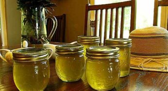 15 Great Canning Recipes to Preserve Your Fruits, Vegetables, and Meats