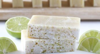 15 Great Soap Recipes Anyone Can Make At Home