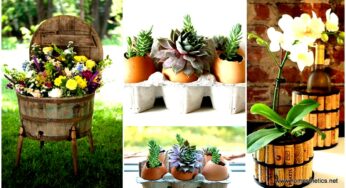 15 DIY Outdoor Fall Decor Projects for Your Garden