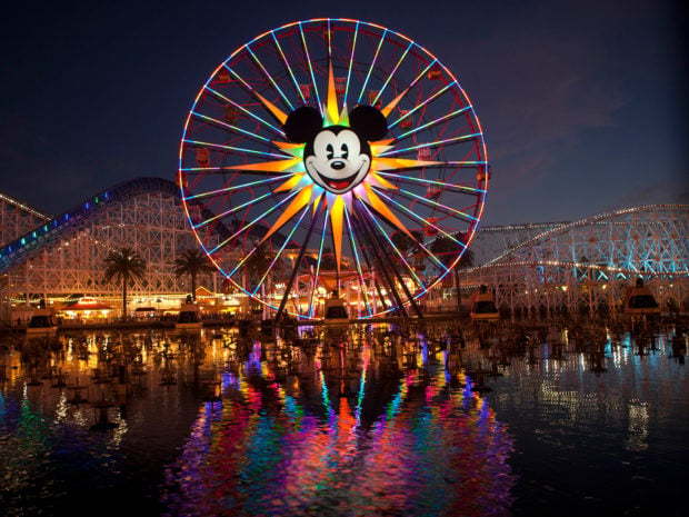 Disney Proposal Ideas That Make Dreams Come True - weeding, proposal, disney